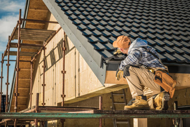 Best Solar Panel Roofing Installation  in Redwood Falls, MN