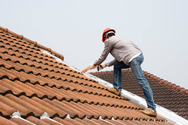 Best Skylight Installation and Repair  in Redwood Falls, MN
