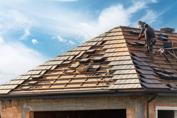 Best Roof Coating and Sealing  in Redwood Falls, MN