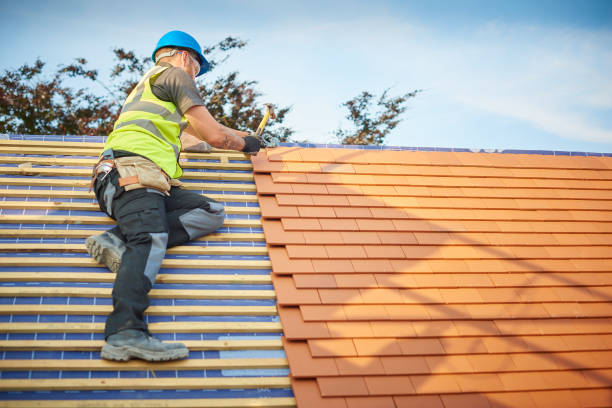 Best Metal Roofing Installation  in Redwood Falls, MN
